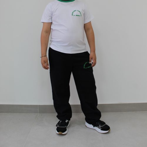Polera deportiva